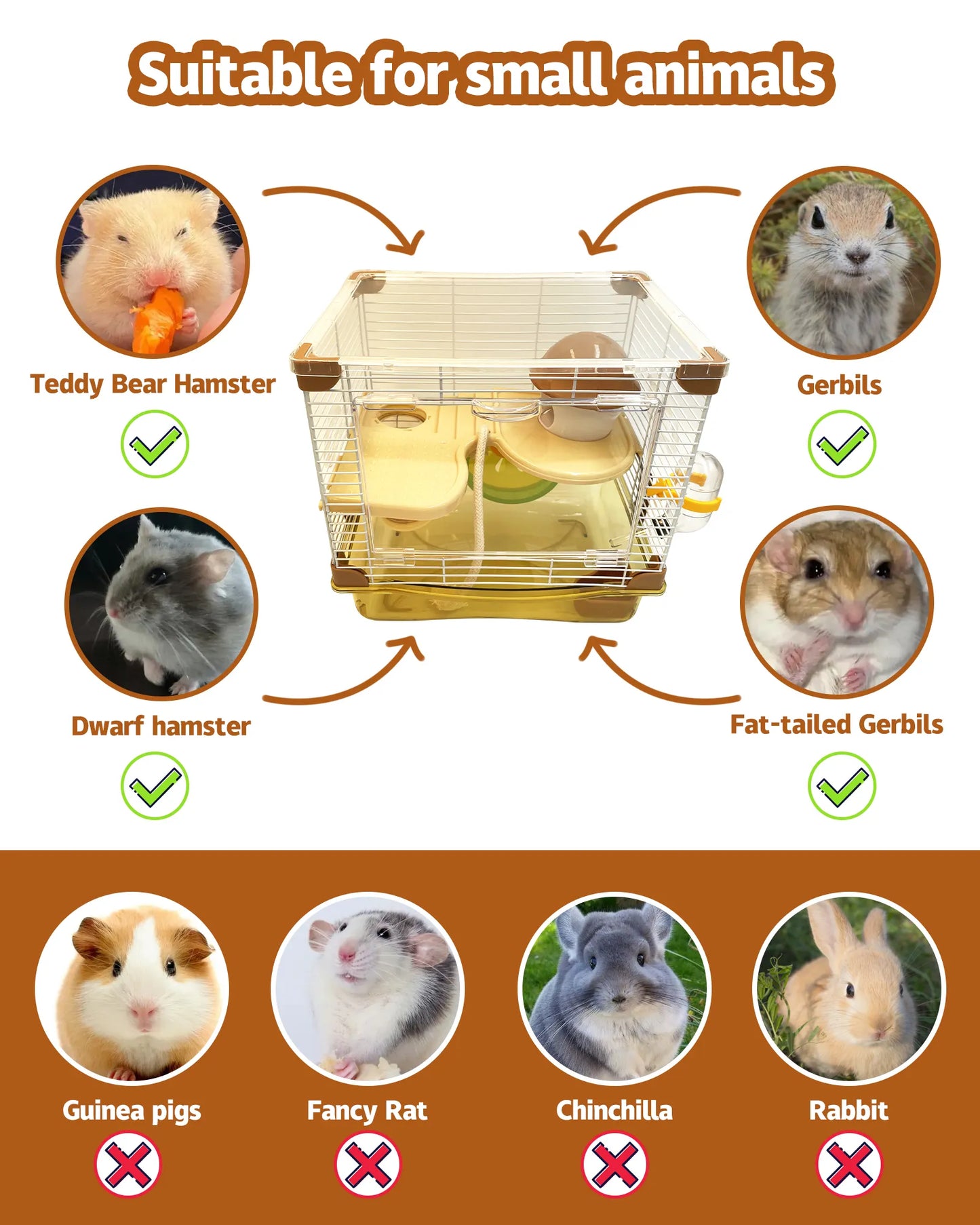 Easy-Start Hamster Haven: 2-Layer Transparent Cage - specialneedspetshop