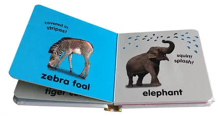 Touch and Feel Animals  Board Book Picture story books