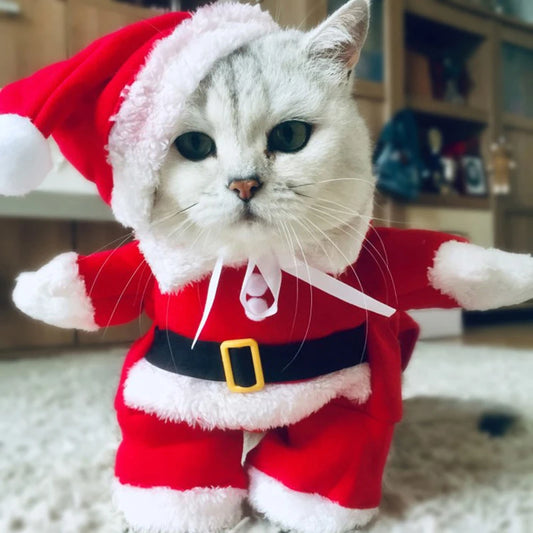 Winter Christmas Santa Claus For Small Cats Dogs