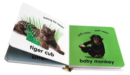 Touch and Feel Animals  Board Book Picture story books