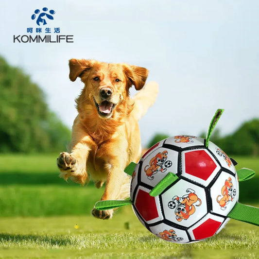 Football For Dogs Outdoor Training  Bite Chew - specialneedspetshop