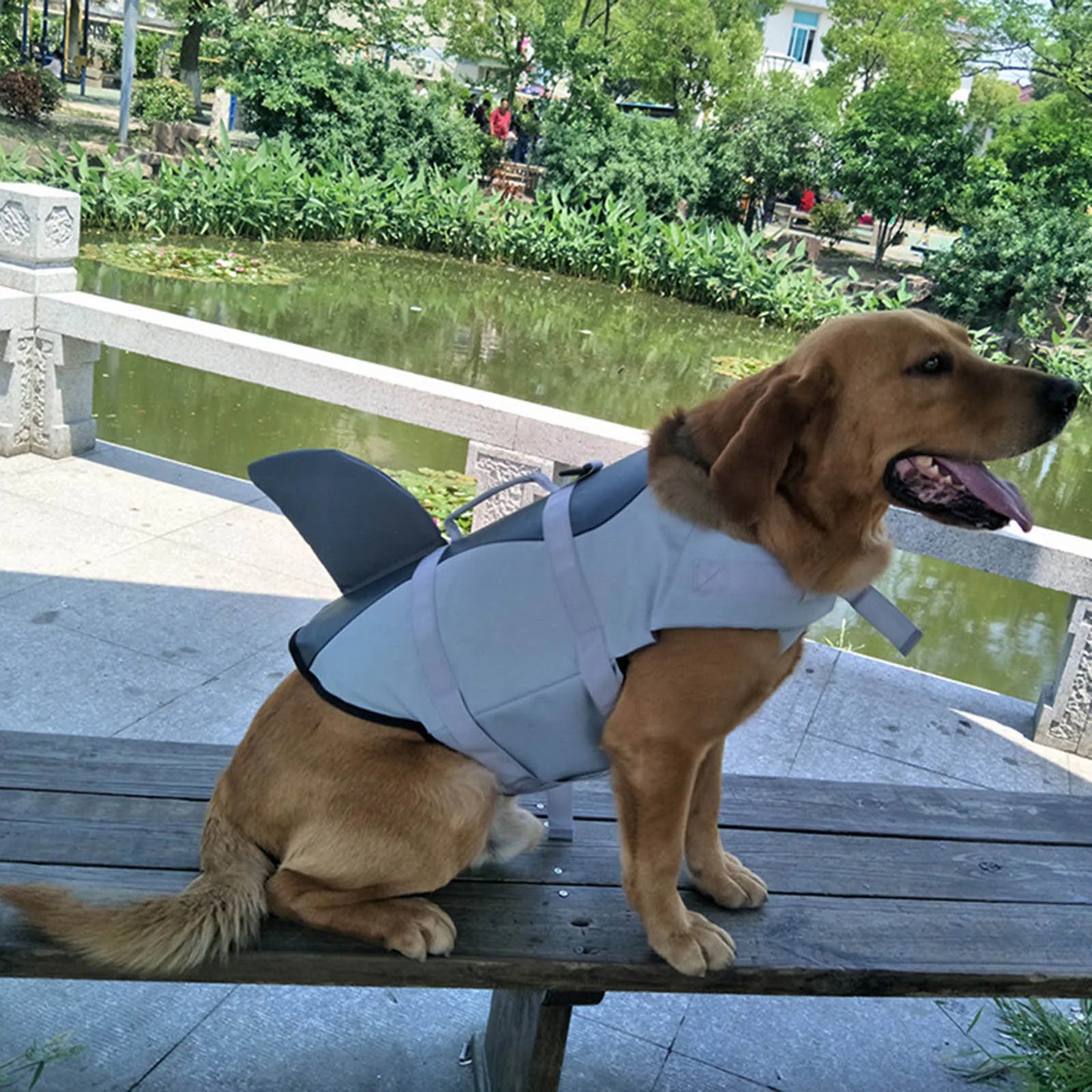 Dog Life Jackets Vest - specialneedspetshop