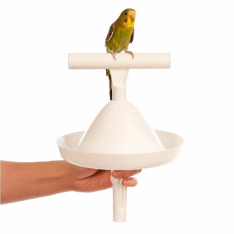 Parrot Stand   Portable Perch and Training Tool