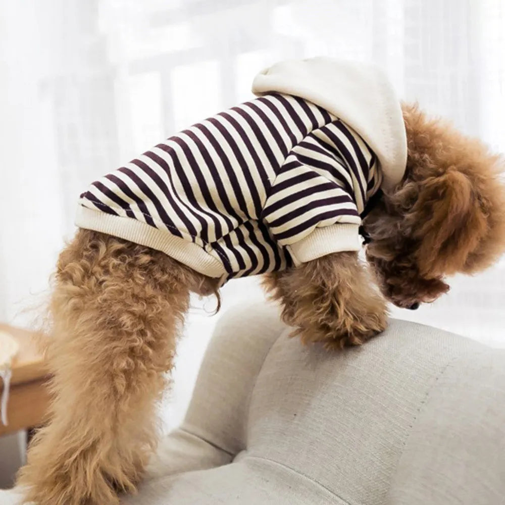 Dog And Owner Matching Outfits Stripe Dogs Hoodies