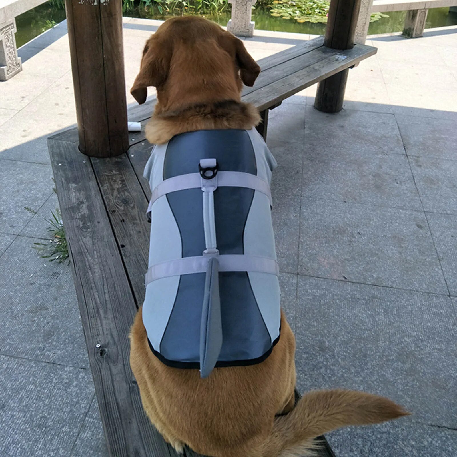 Dog Life Jackets Vest - specialneedspetshop