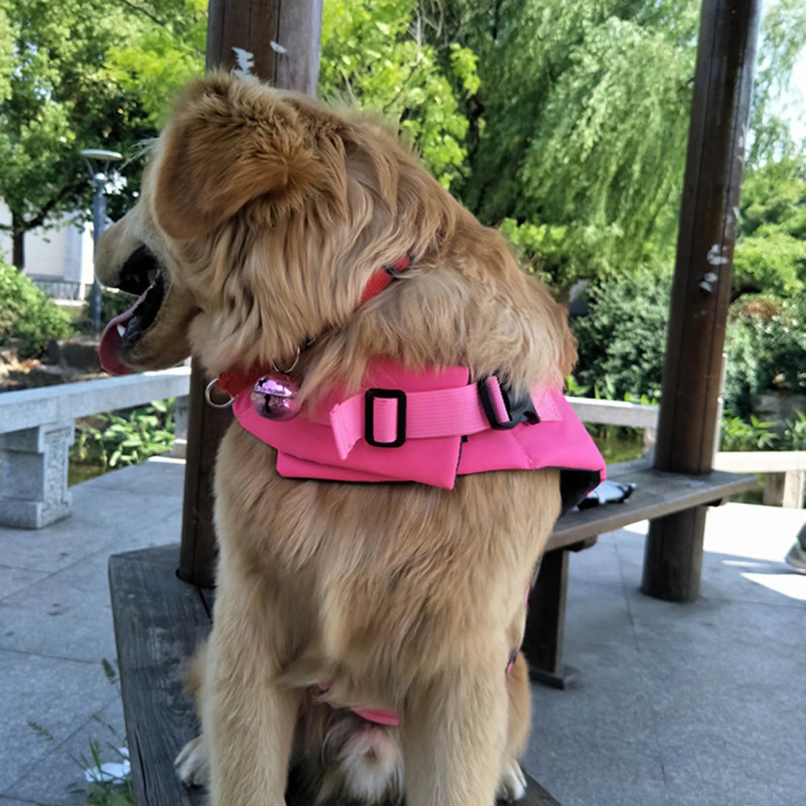 Dog Life Jackets Vest - specialneedspetshop