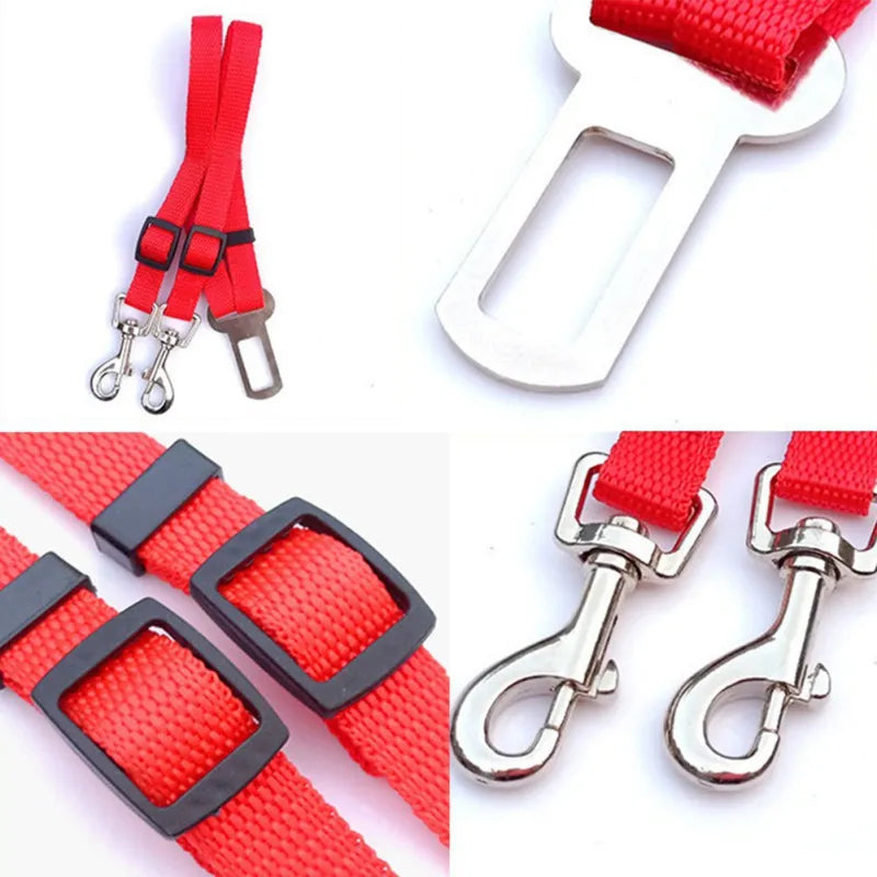 Adjustable  Dog Safety Collar Seat Belt For Two Dogs - specialneedspetshop