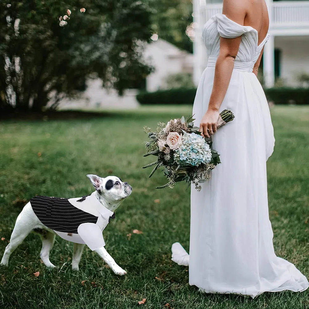 Boy Dogs Tuxedo Suit with Bow-tie