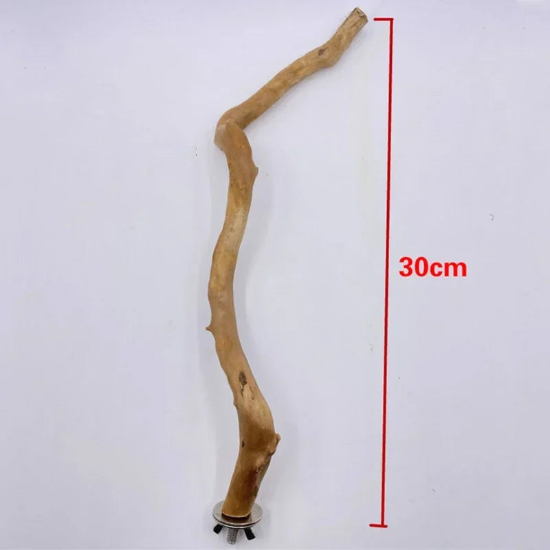 Natural Parrot Perch Tree Stick Fork Parakeet Climbing