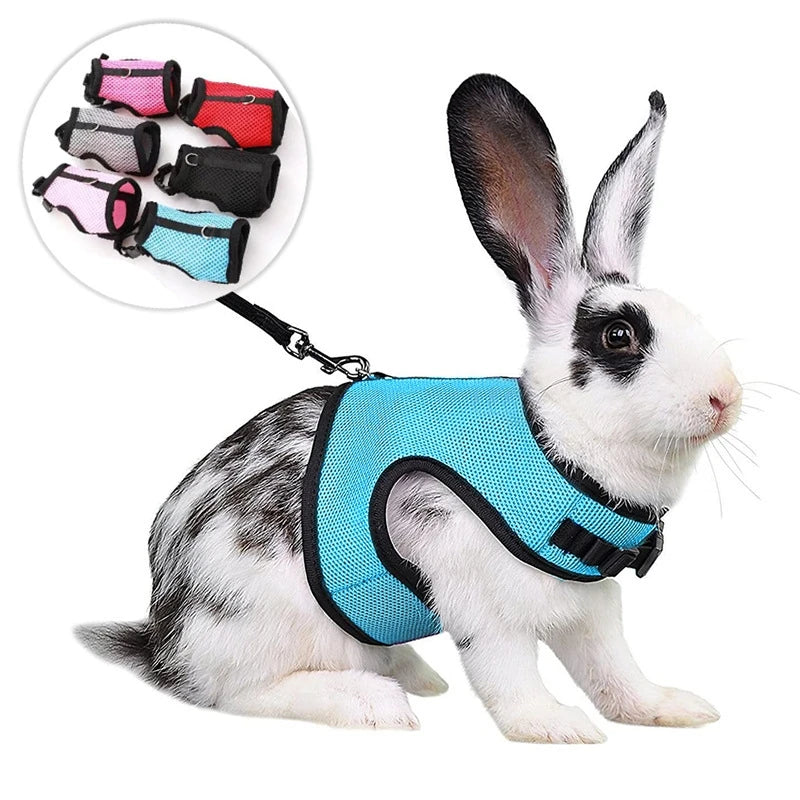 Mutil-Colors Breathable  Adjustable Soft Harness  And Elastic Leash Set For Rabbits