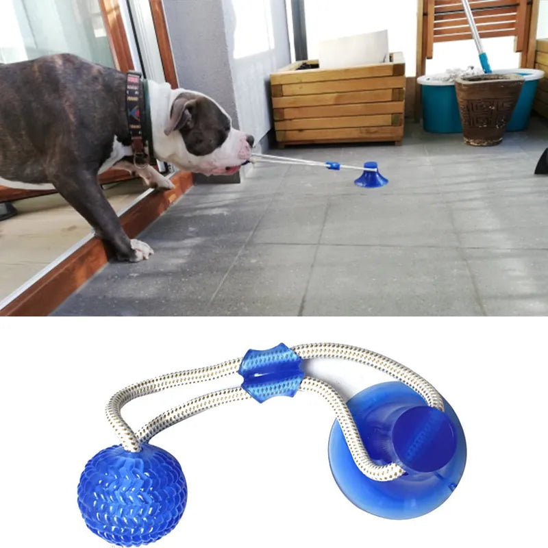 Dog  Interactive Rubber Chew Ball  Tooth Cleaning Balls