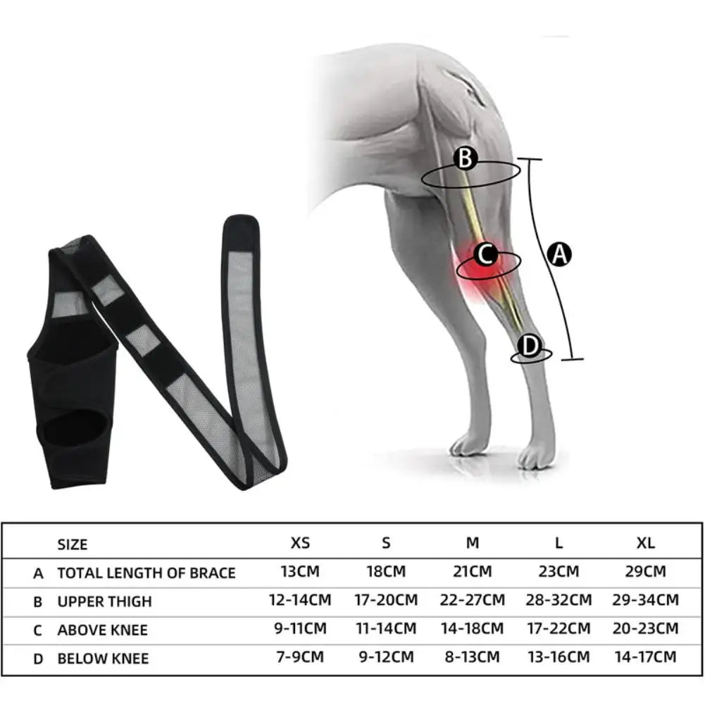 Pet Dog Knee Brace For Joint   Leg Brace Rear Leg Brace