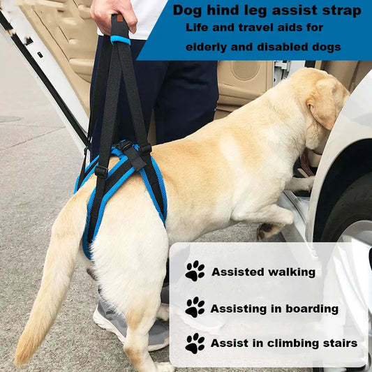 dog leg brace hind legs assistive straps - specialneedspetshop