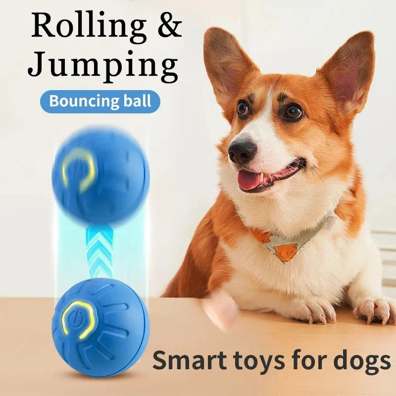 Dog Toy Ball   Interactive Jumping Ball  Automatic Rolling Balls