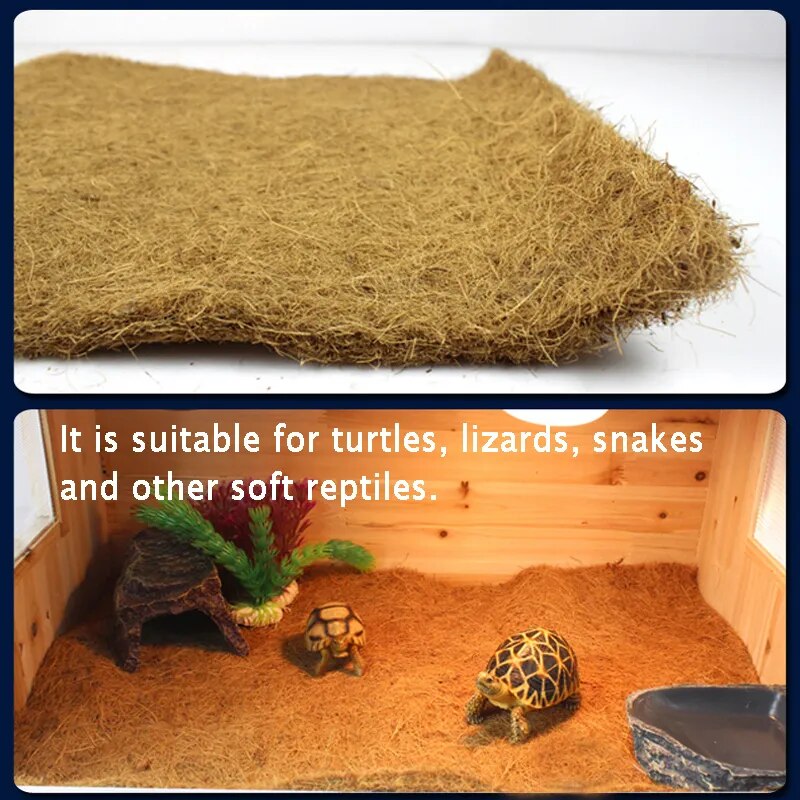 Reptile  Mat Reptiles Climbing Coconut Palm Carpet - specialneedspetshop