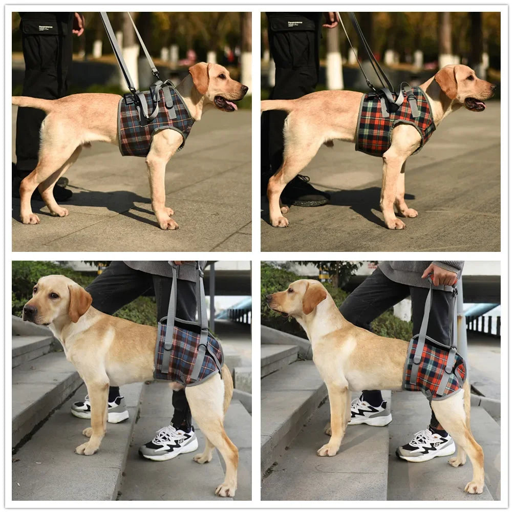 Adjustable Dog Support Harness for Front and Rear Legs