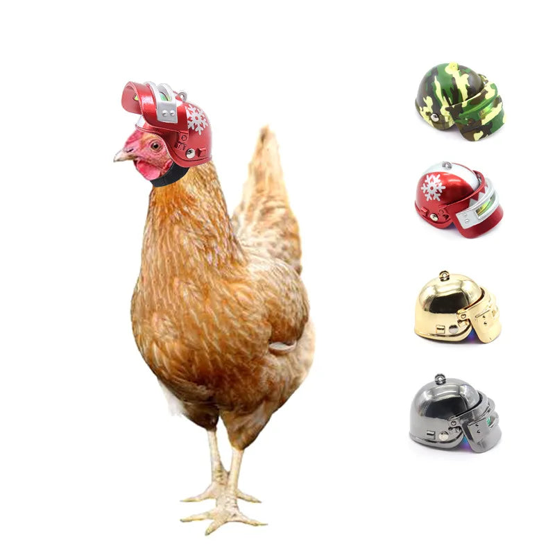 Rooster Hen Helmet Adjustable   Bird Headgear   Protective Gear