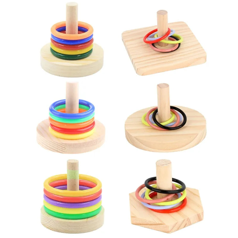 Bird Training  Wooden Block Puzzle  Colorful Plastic Rings