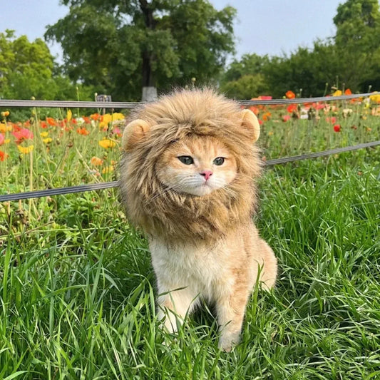 Cat Lion Mane Costume Hair