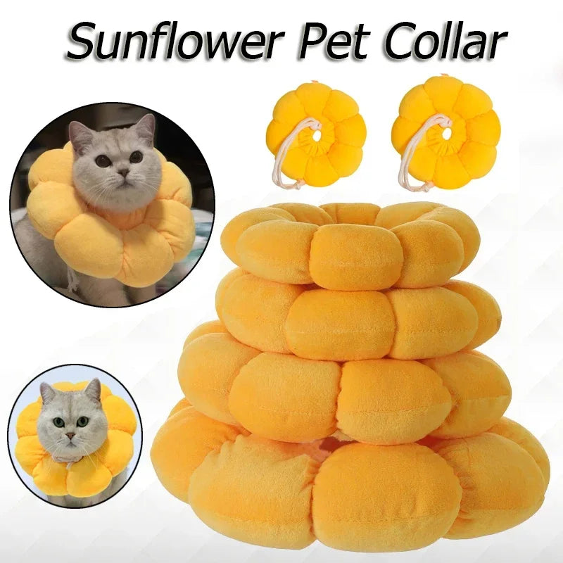 Anti-Bite Surgery Anti-Lick Wound Healing Protection Collar Cats