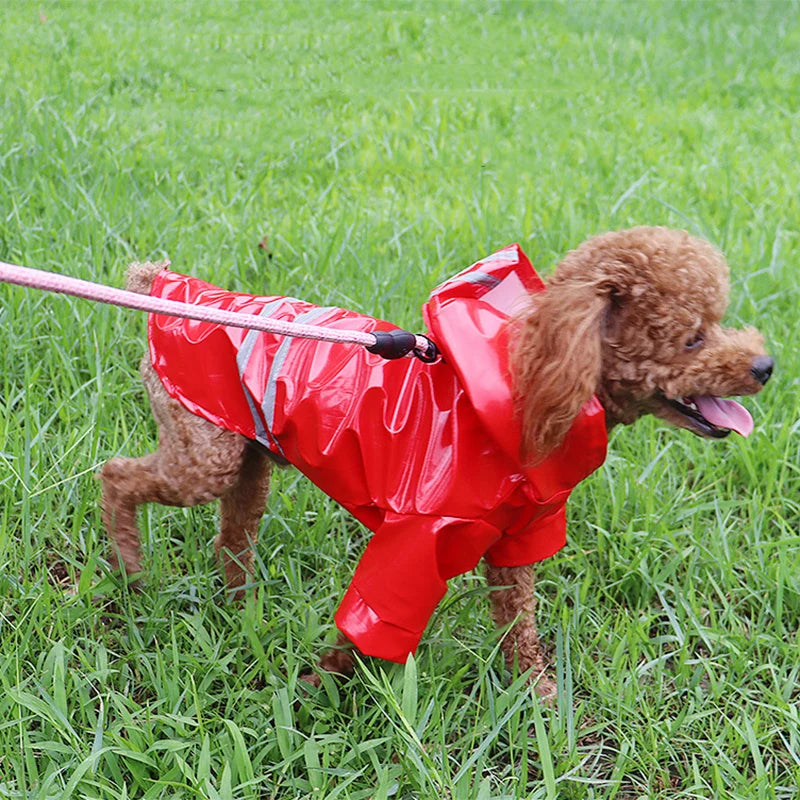 Dog Raincoat Reflective Waterproof  for Small Puppy Cats