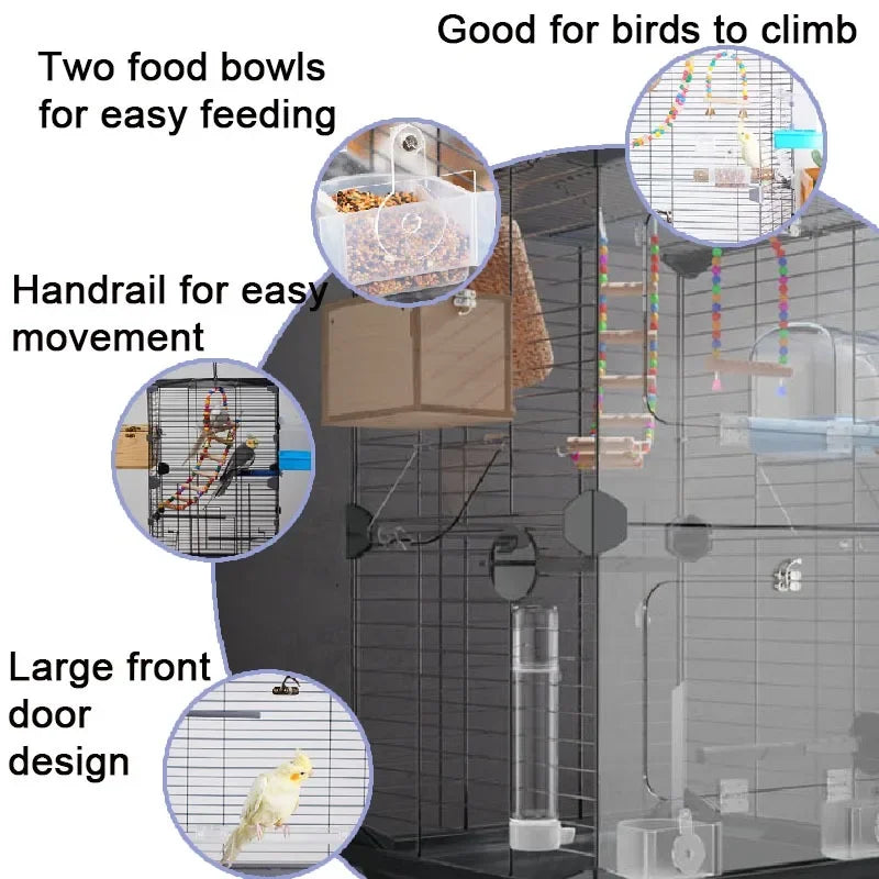 Multiple Small Birds Flight  Bird Cage Large Space