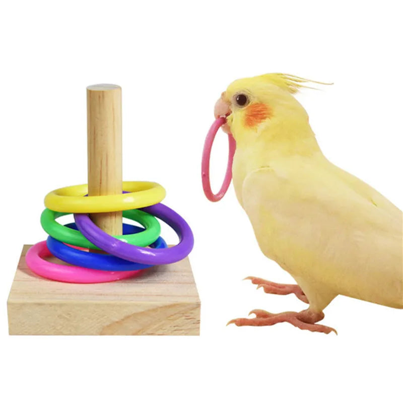 Bird Training  Wooden Block Puzzle  Colorful Plastic Rings