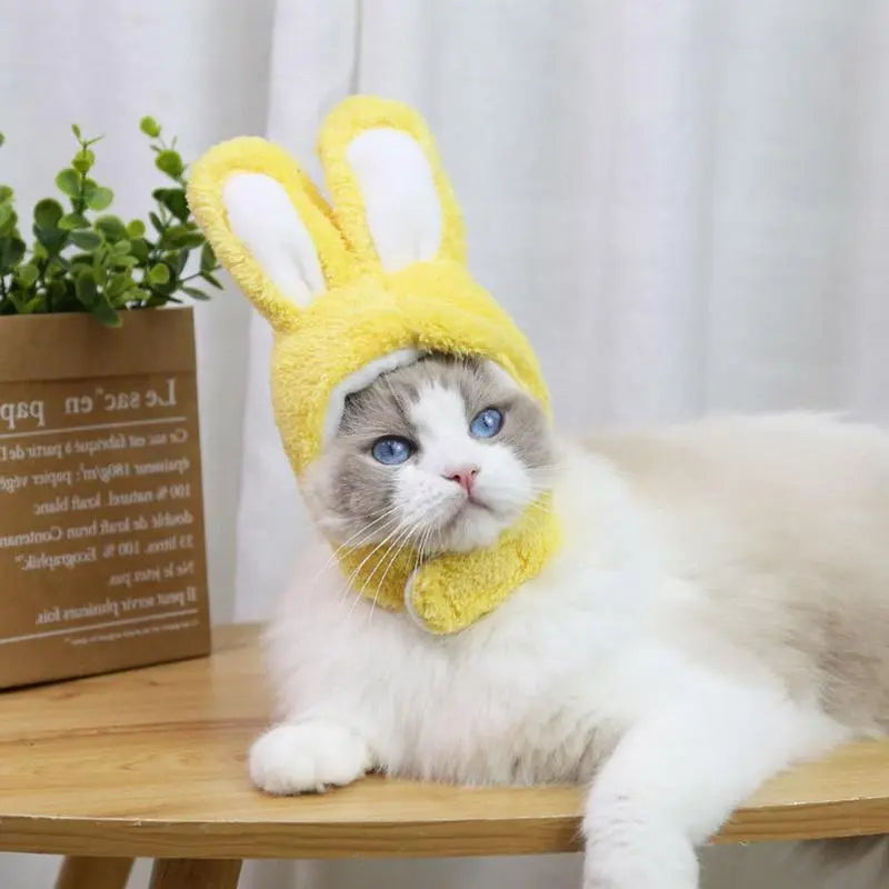 Rabbit Hat With Ears For Cats Small Dogs - specialneedspetshop