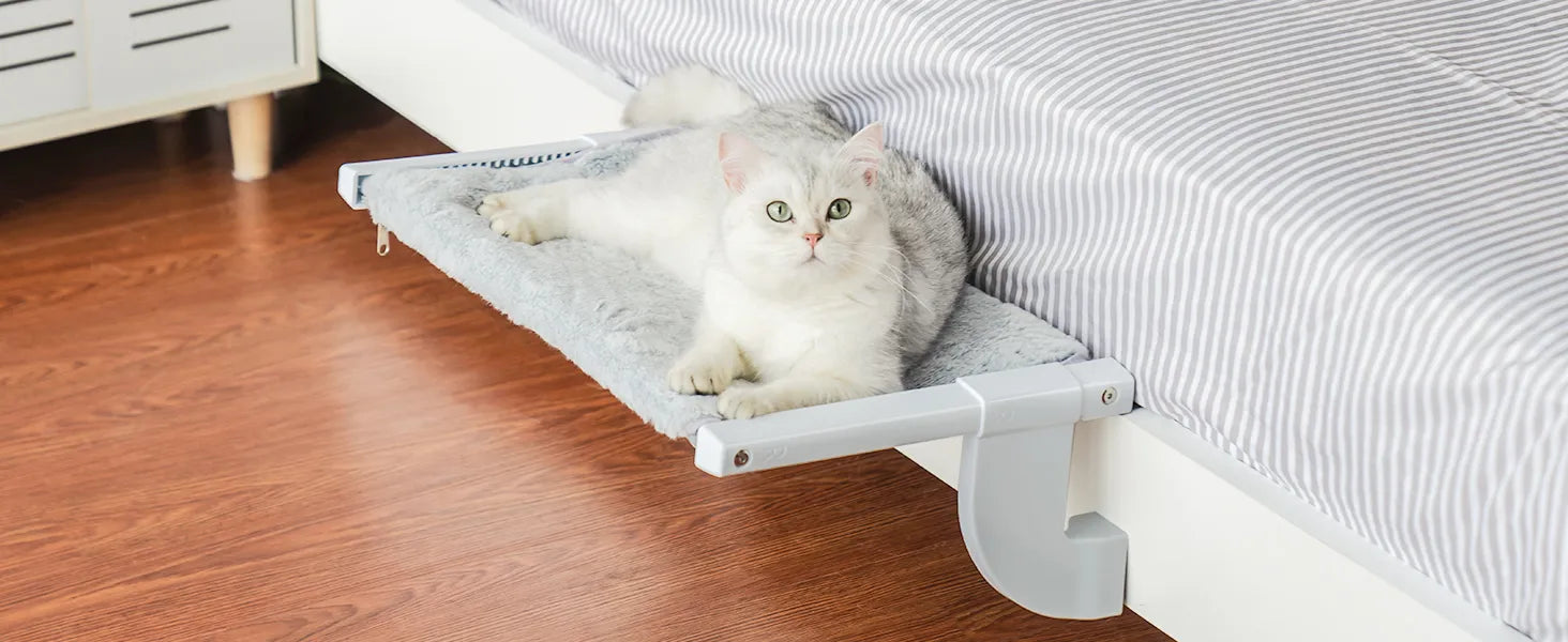 Cat Window Perch Hammock  Up to 18kg - specialneedspetshop