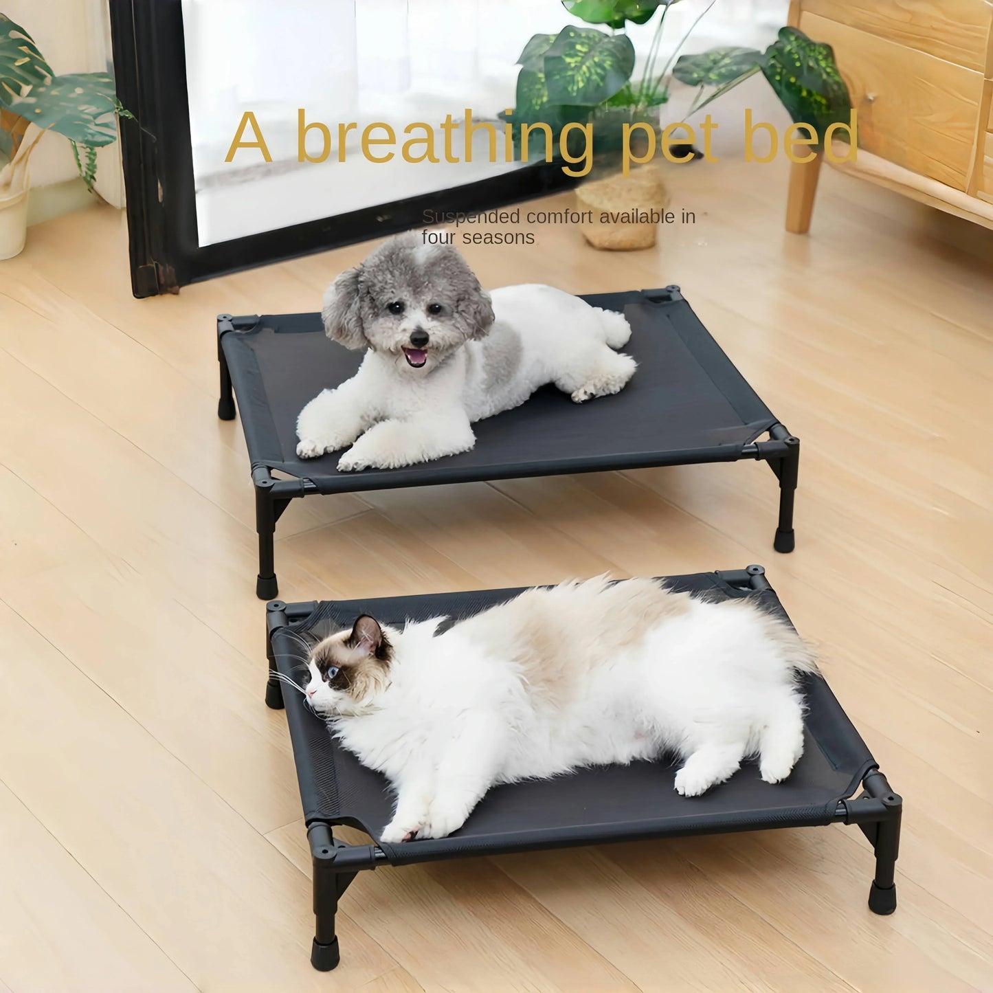 Elevated Bed for Dogs Portable Removable Washable