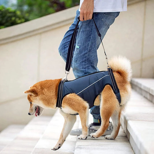 Dog Lift Harness Rehabilitation Sling Padded Breathable Straps for Joint Injuries