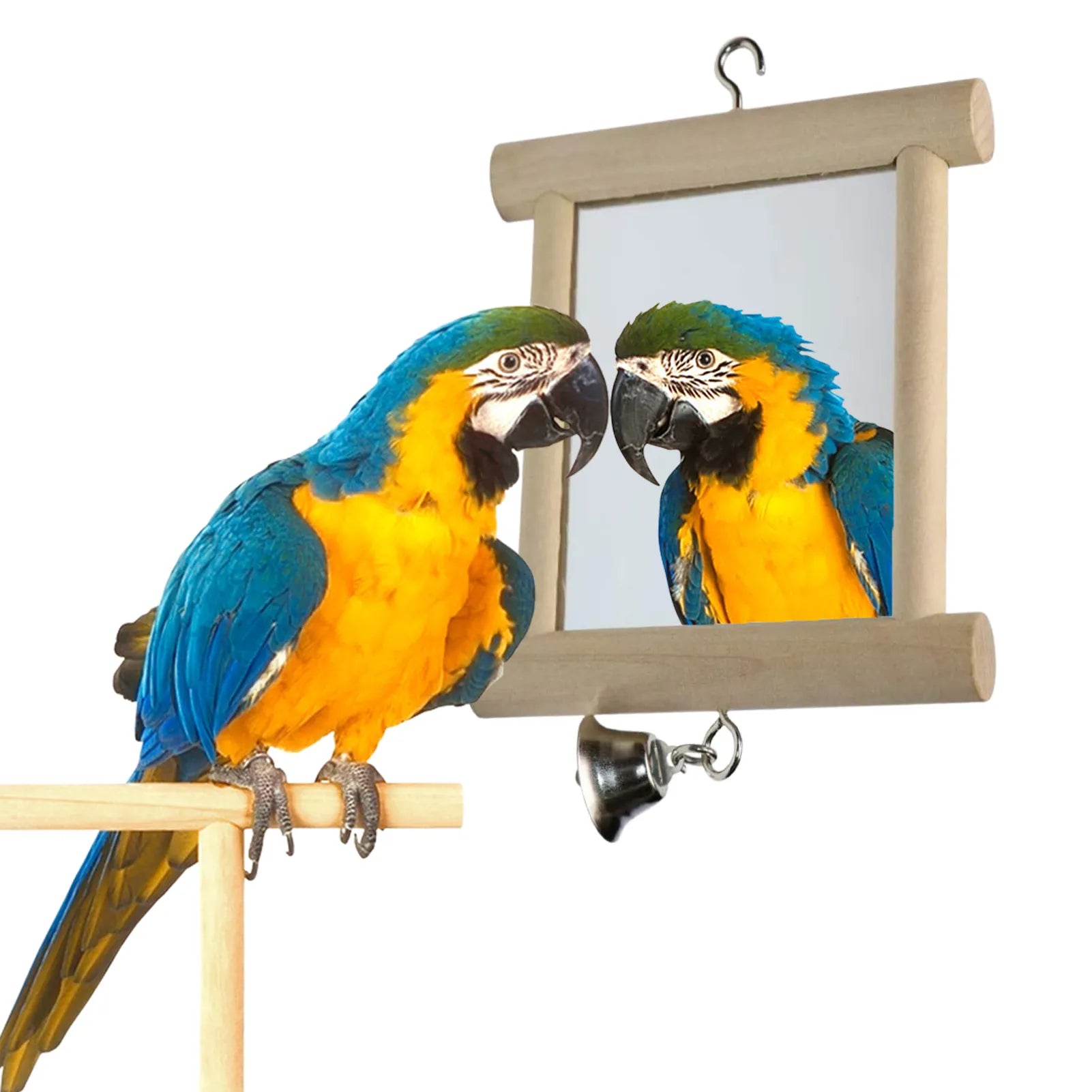 Bird Mirror With Bell - specialneedspetshop