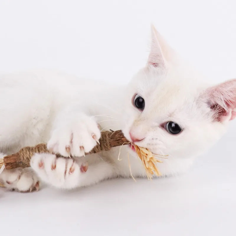 Cat Chew Stick Natural Stuff with Catnip  Cleaning Teeth