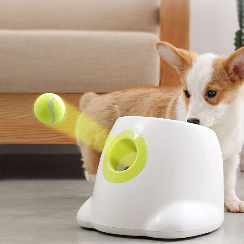 Dog  Tennis Ball Launcher Machine Automatic Throw