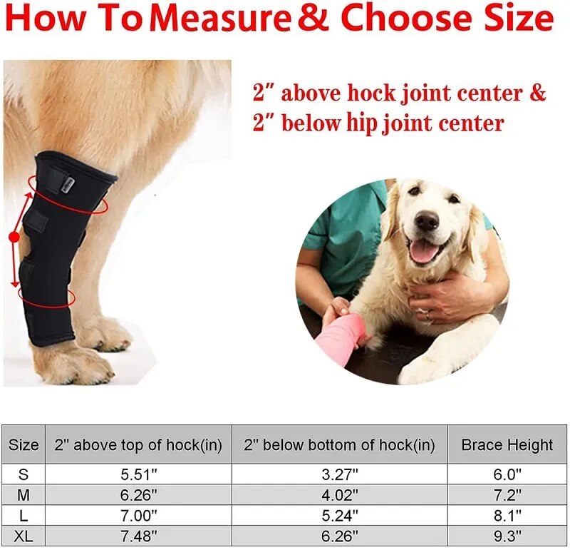 Dog Knee Brace Front  Rear Leg Joint - specialneedspetshop