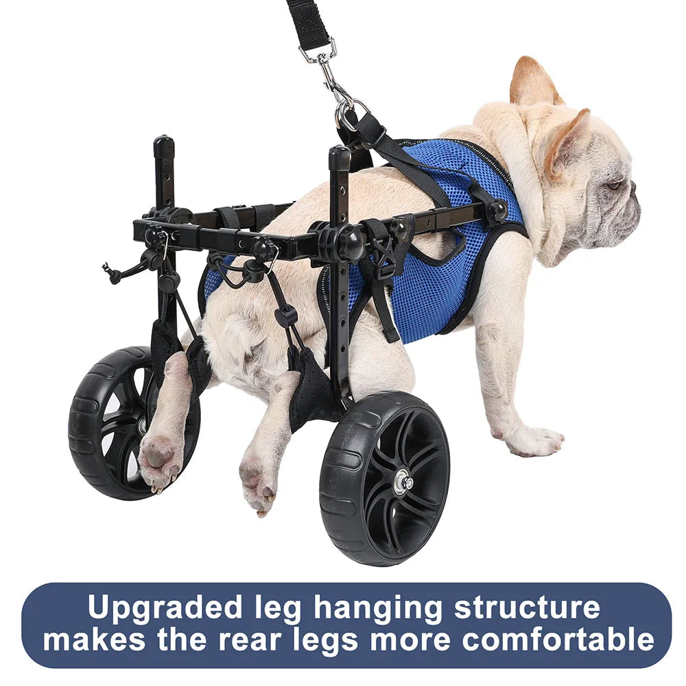 Dog Wheelchair Hind Limb Paralysis Injury Weakness Assist