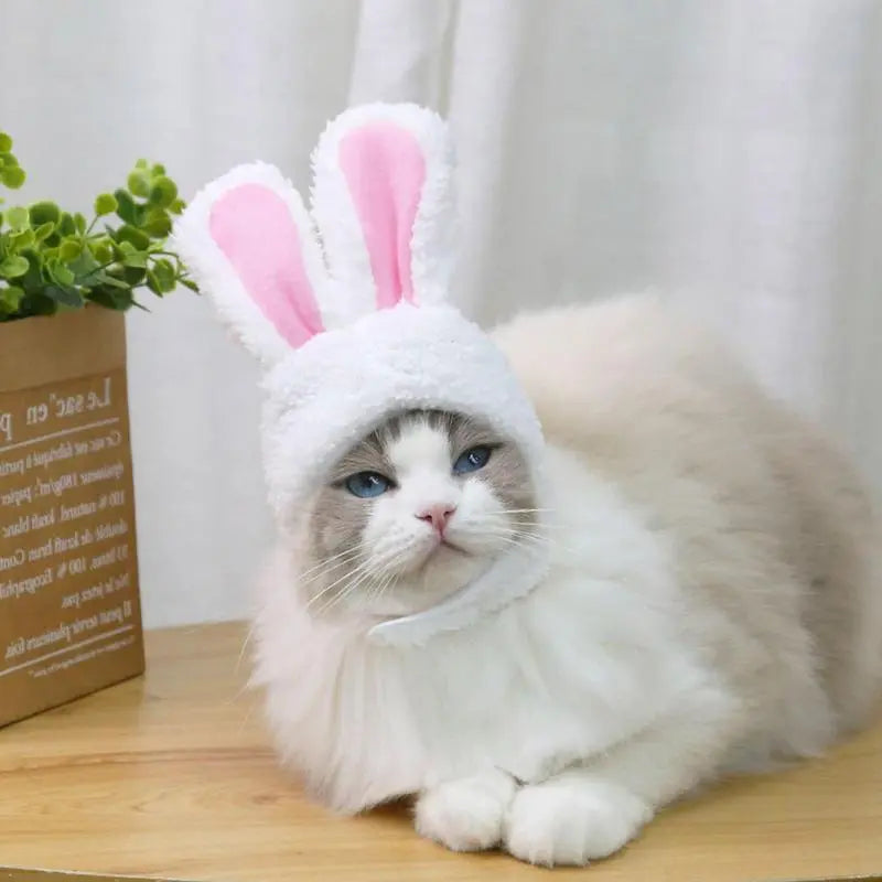 Rabbit Hat With Ears For Cats Small Dogs - specialneedspetshop