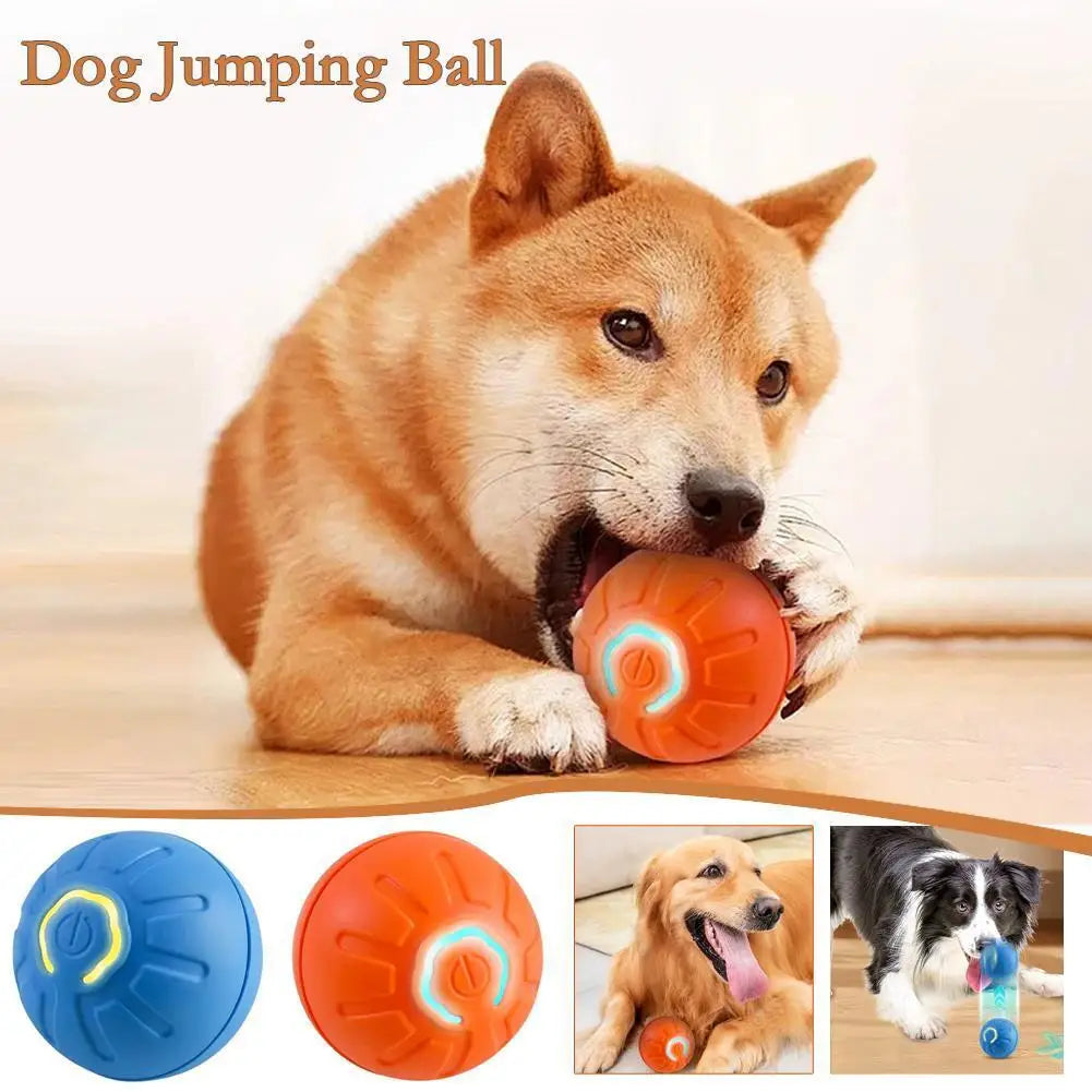 Dog Toy Ball   Interactive Jumping Ball  Automatic Rolling Balls