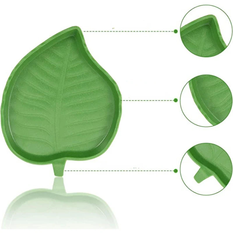 Reptile Leaf Shape Dish Reptile Food Water