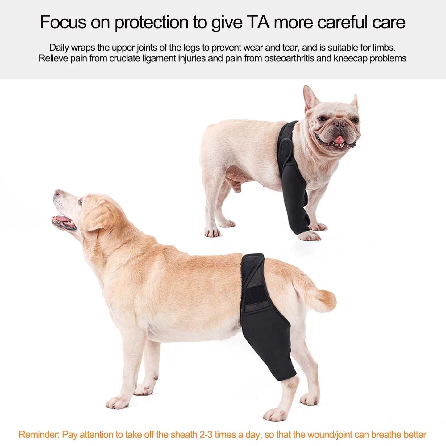 dog Hip or Knee Support  Torn ACL Patella Luxation Osteoarthritis - specialneedspetshop