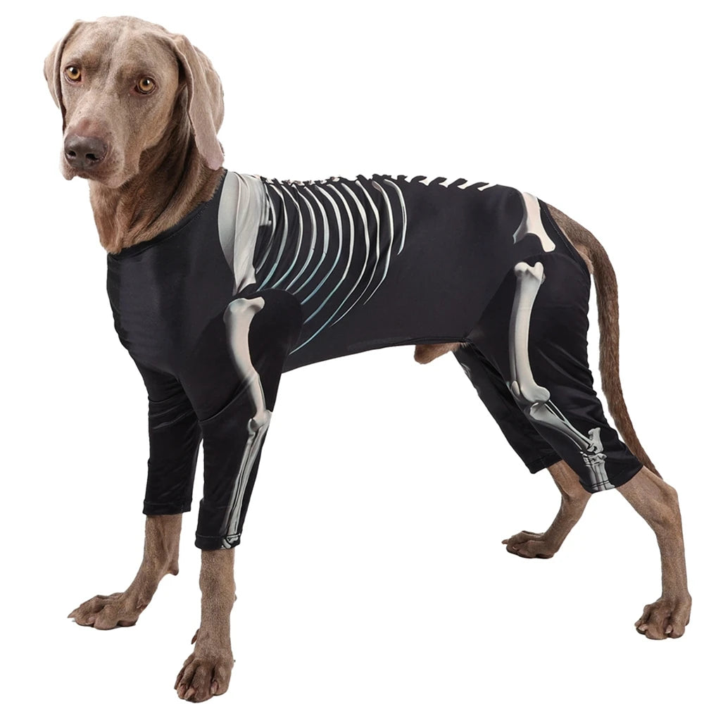 Halloween Skeleton Dog Costumes  Jumpsuit Halloween Costume