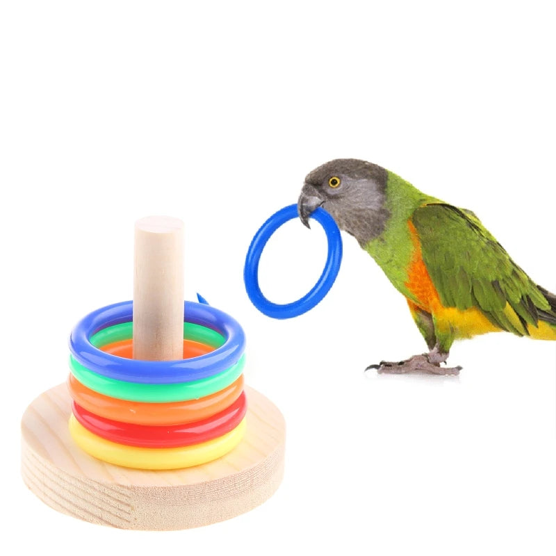 Bird Training  Wooden Block Puzzle  Colorful Plastic Rings