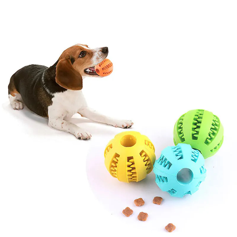 Ball  for Small Dogs Interactive Elasticity Tooth Cleaning Rubber Food Ball