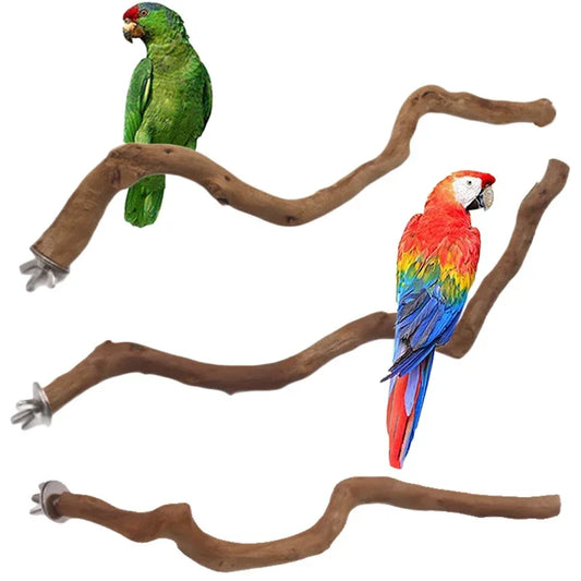 Natural Parrot Perch Tree Stick Fork Parakeet Climbing