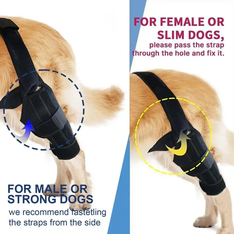 Dog ACL Knee Brace Dog Rear Leg Stabilizer  Adjustable Traction Belt