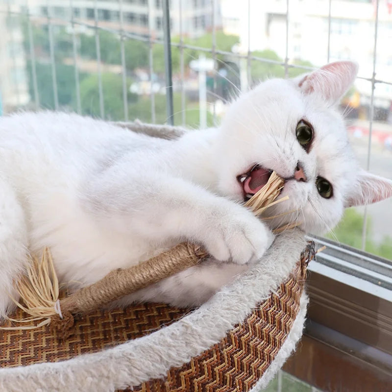 Cat Chew Stick Natural Stuff with Catnip  Cleaning Teeth