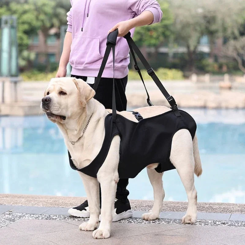 Dog Lift Harness For Large Dogs Sling For Whole Body Dog