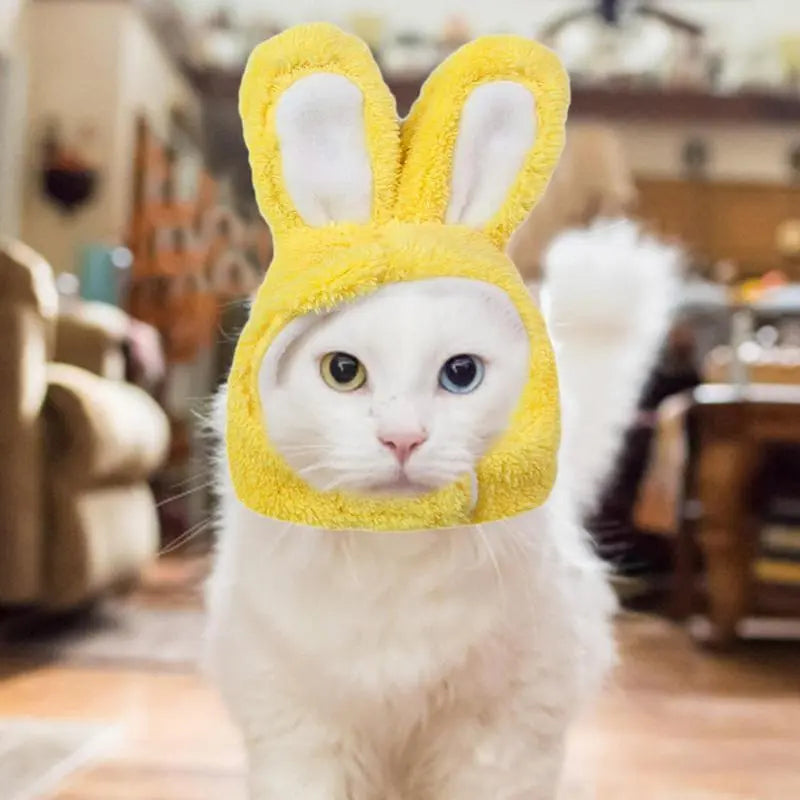 Rabbit Hat With Ears For Cats Small Dogs - specialneedspetshop