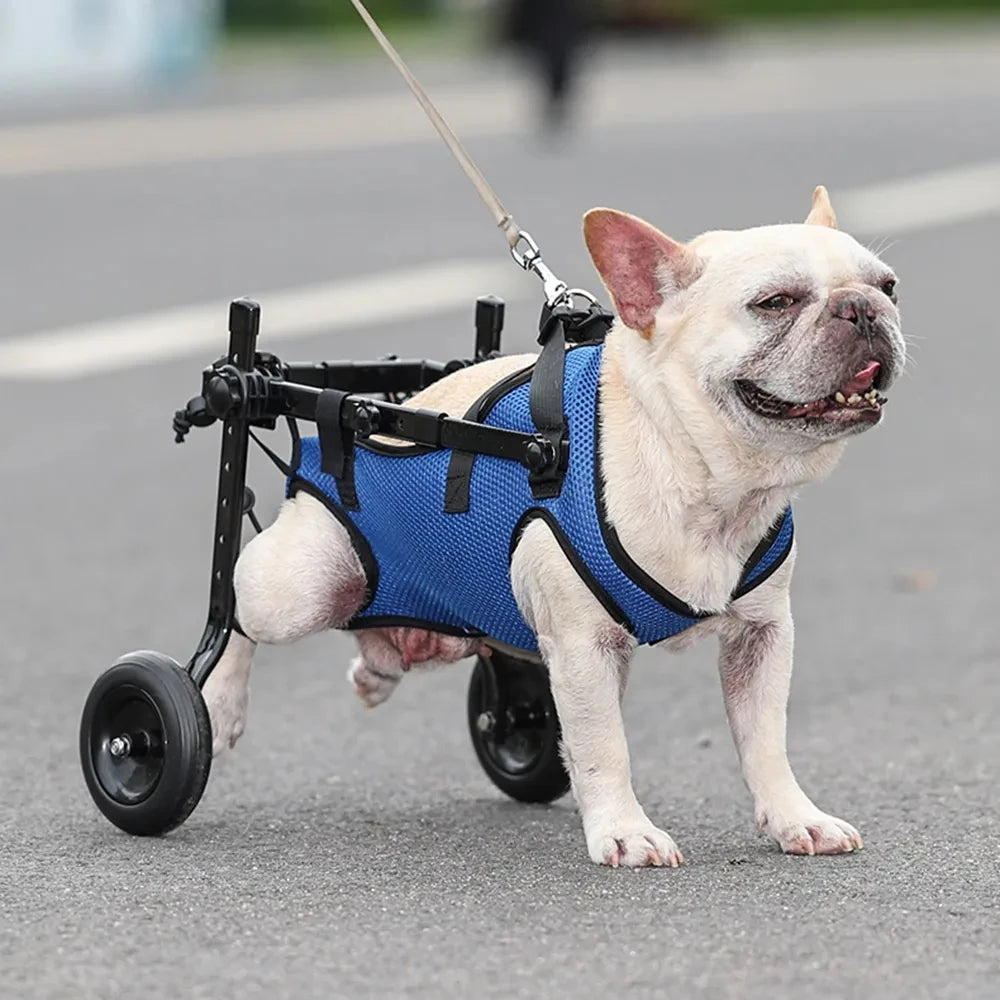 Wheelchair for disabled Dog Cart Hind Legs