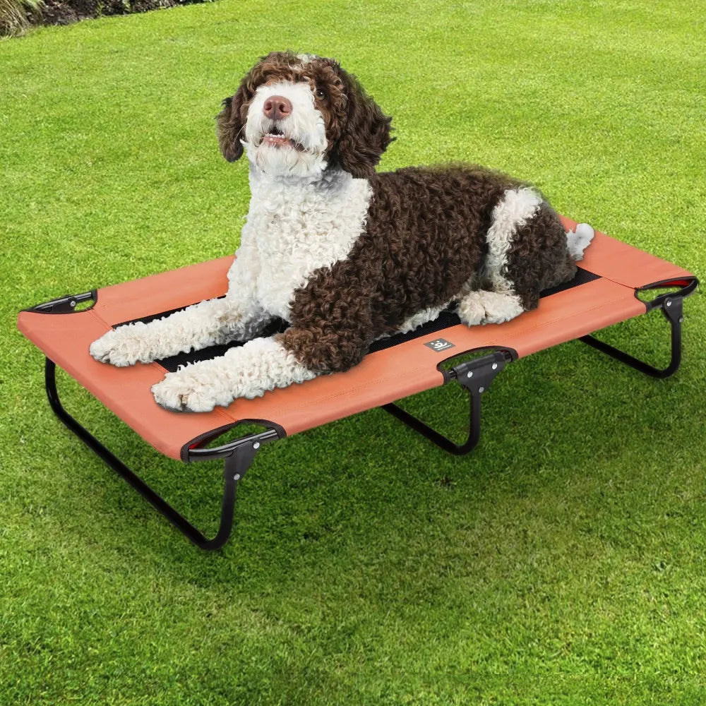 Folding Dog Cot mesh foldable legs  up to 50 lbs - specialneedspetshop